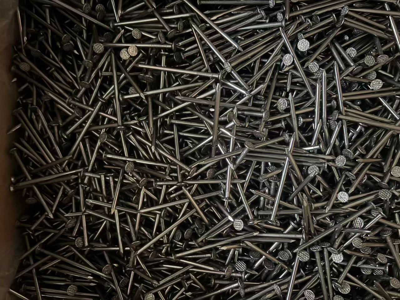 Nails Image